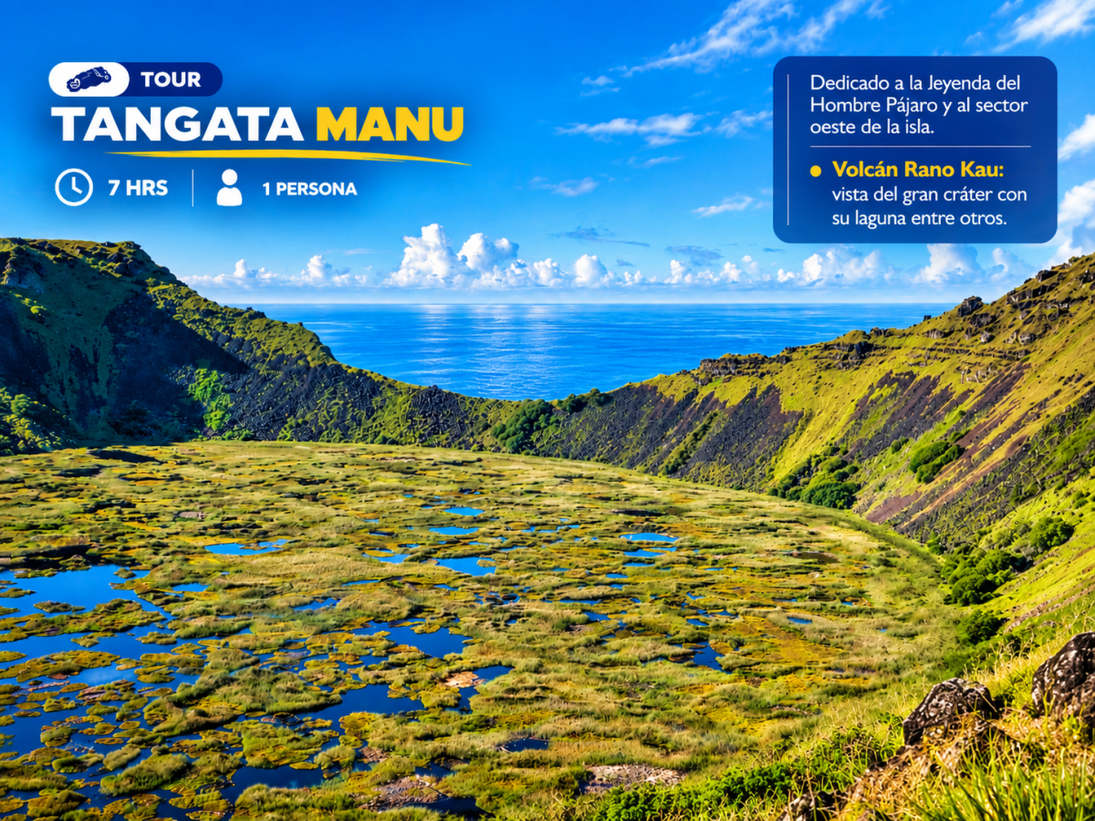 TOUR TANGATA MANU / NOV 2026