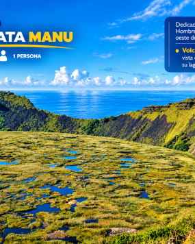 TOUR TANGATA MANU / NOV 2026